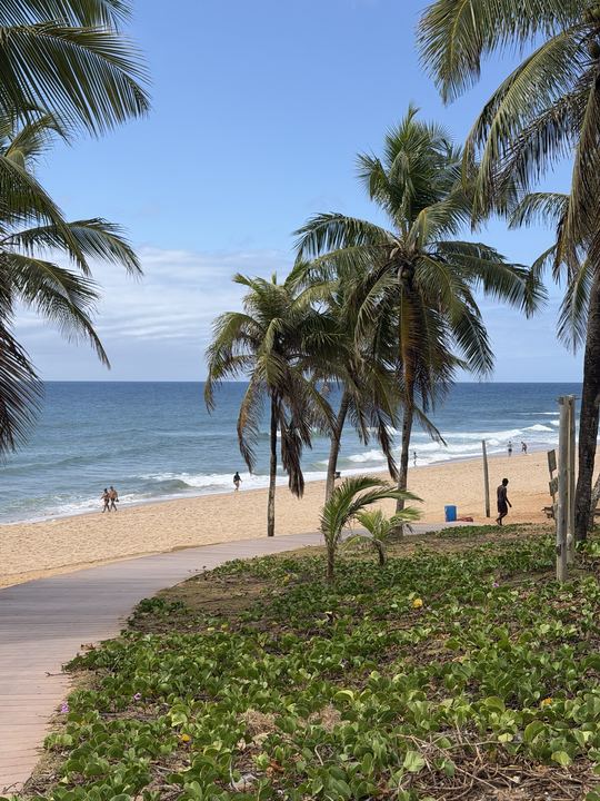 Mar azul entre os coqueiros