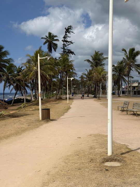 Alameda com coqueiros e postes na orla